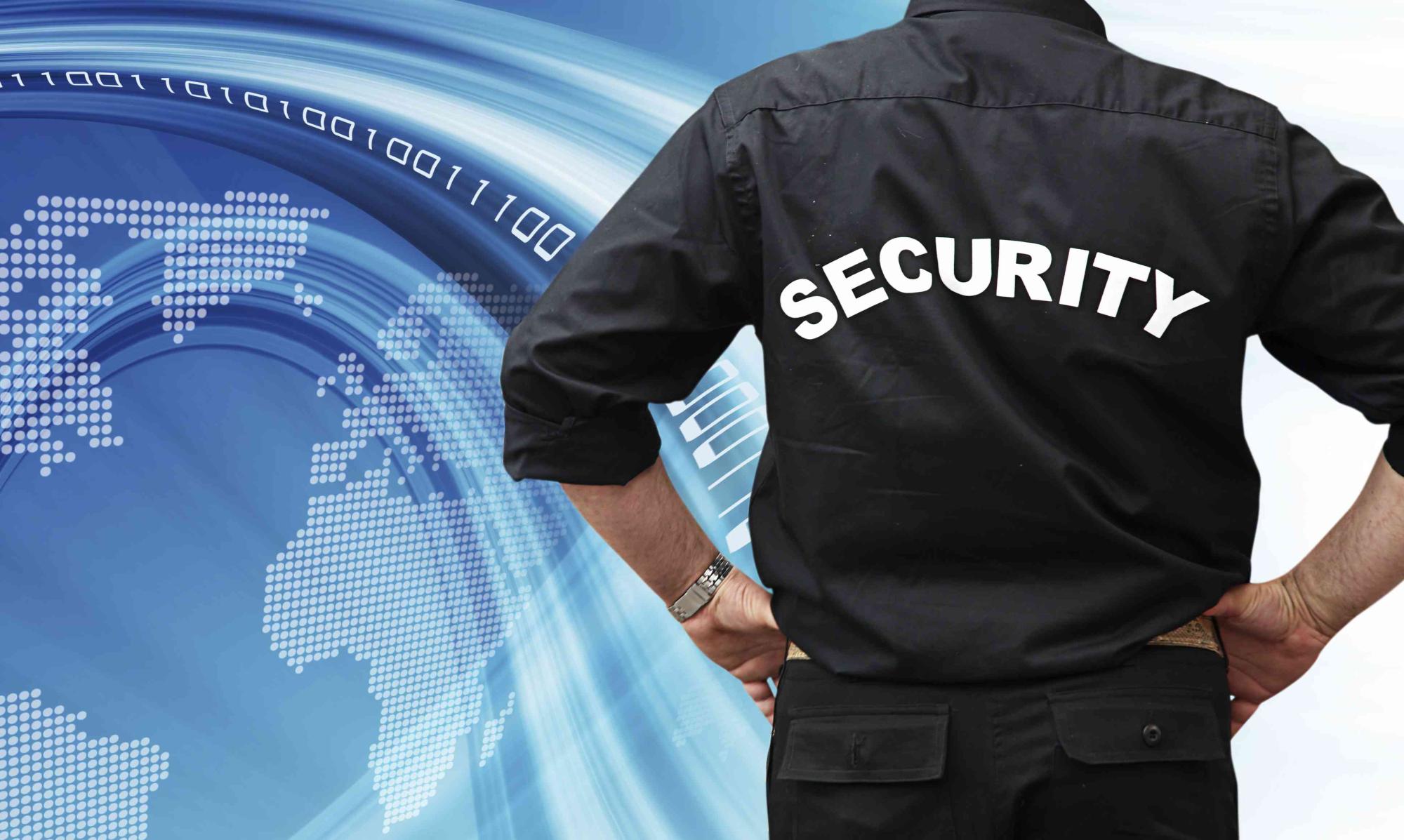 vigours security